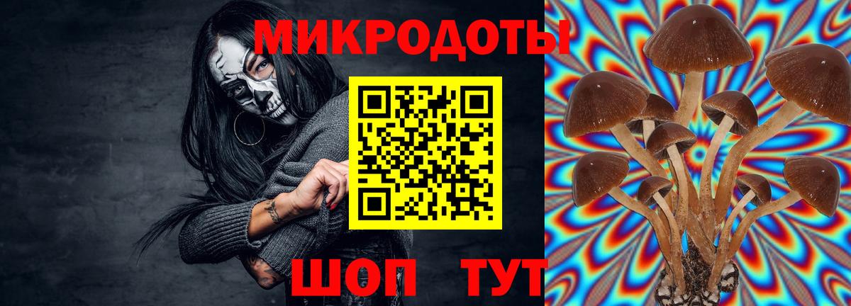 Железногорск  Псилоцибиновые грибы Magic Shrooms  Вход с VPN  Псилоцибиновые грибы Cubensis 